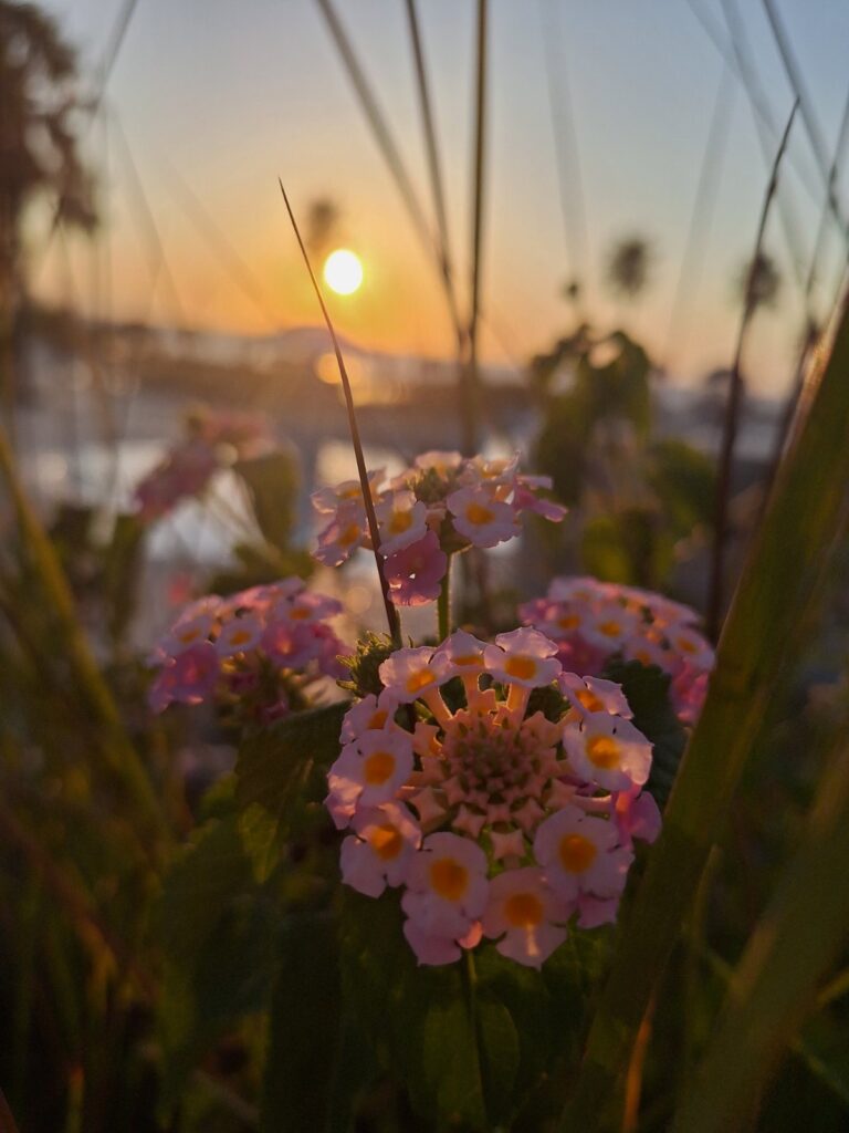img 0677