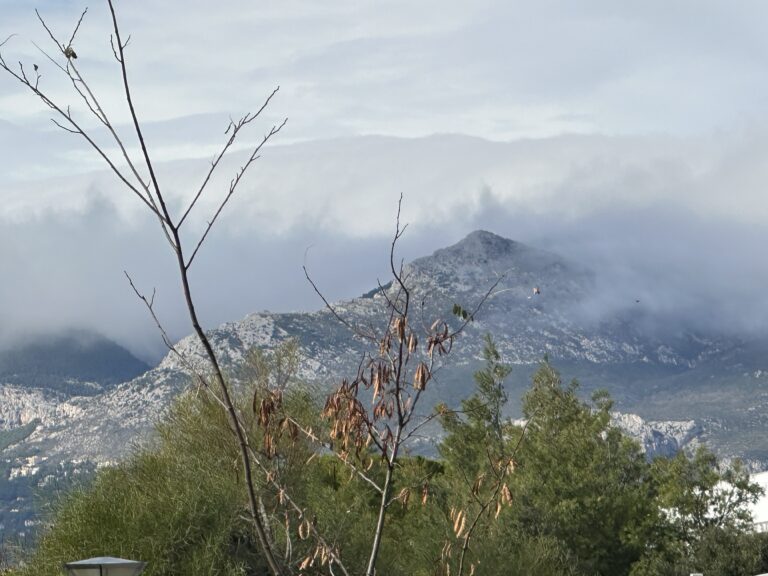 park mountain img 8494
