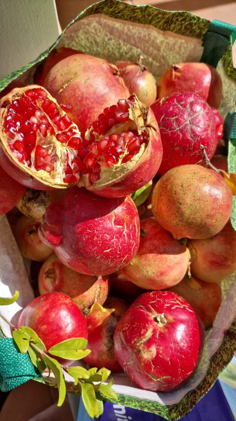 pomegranate